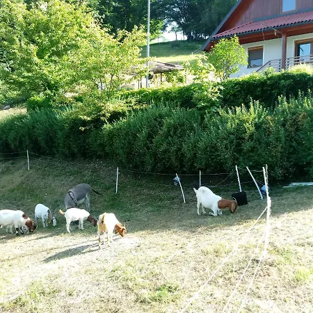 Valley View With Sauna Mrak