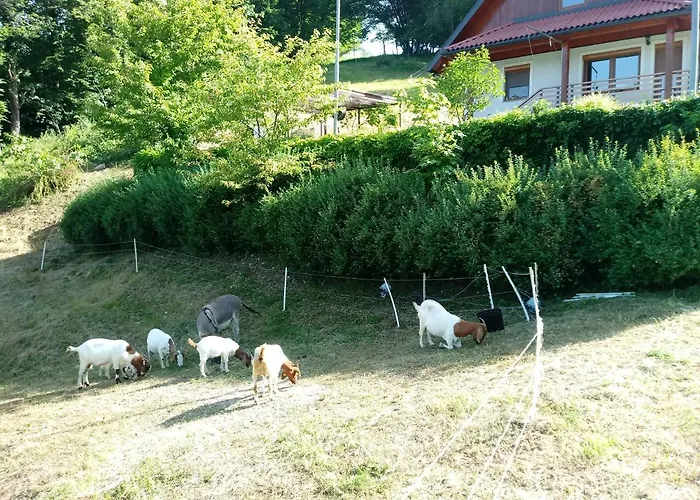 Valley View With Sauna Mrak